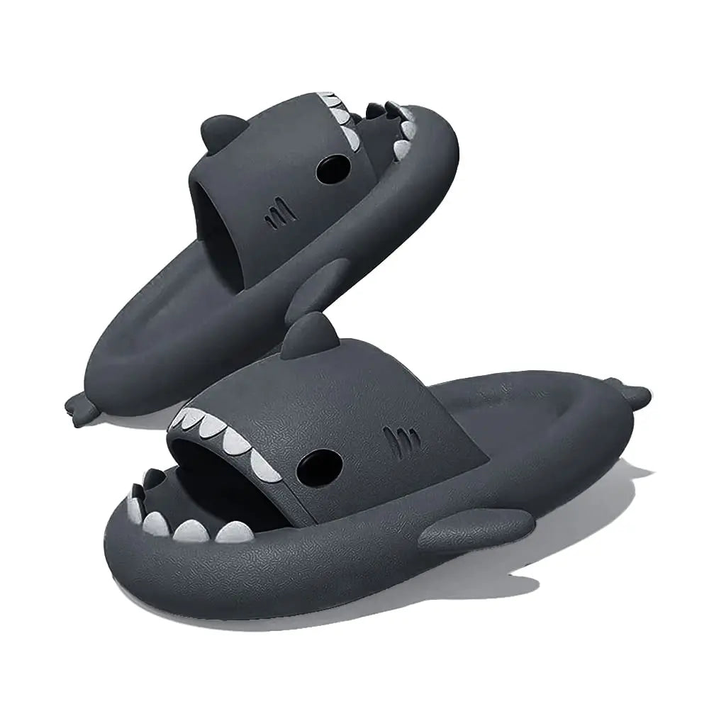 Slippers Shark