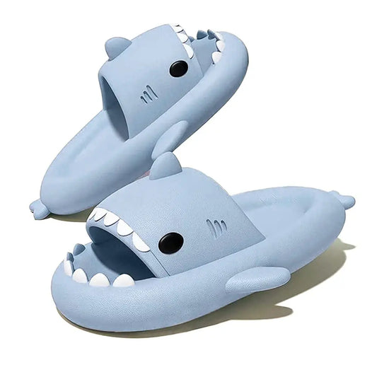 Slippers Shark