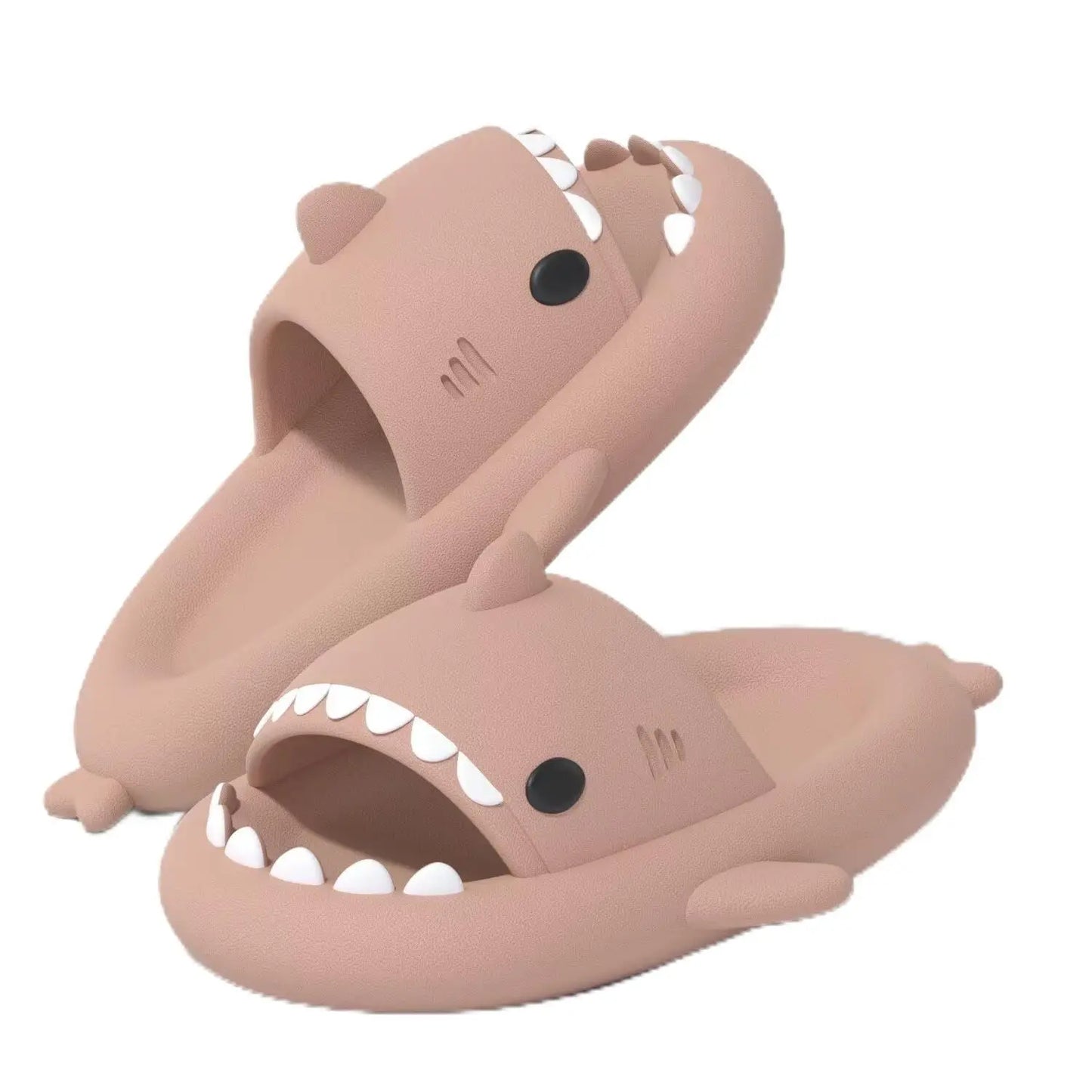 Slippers Shark