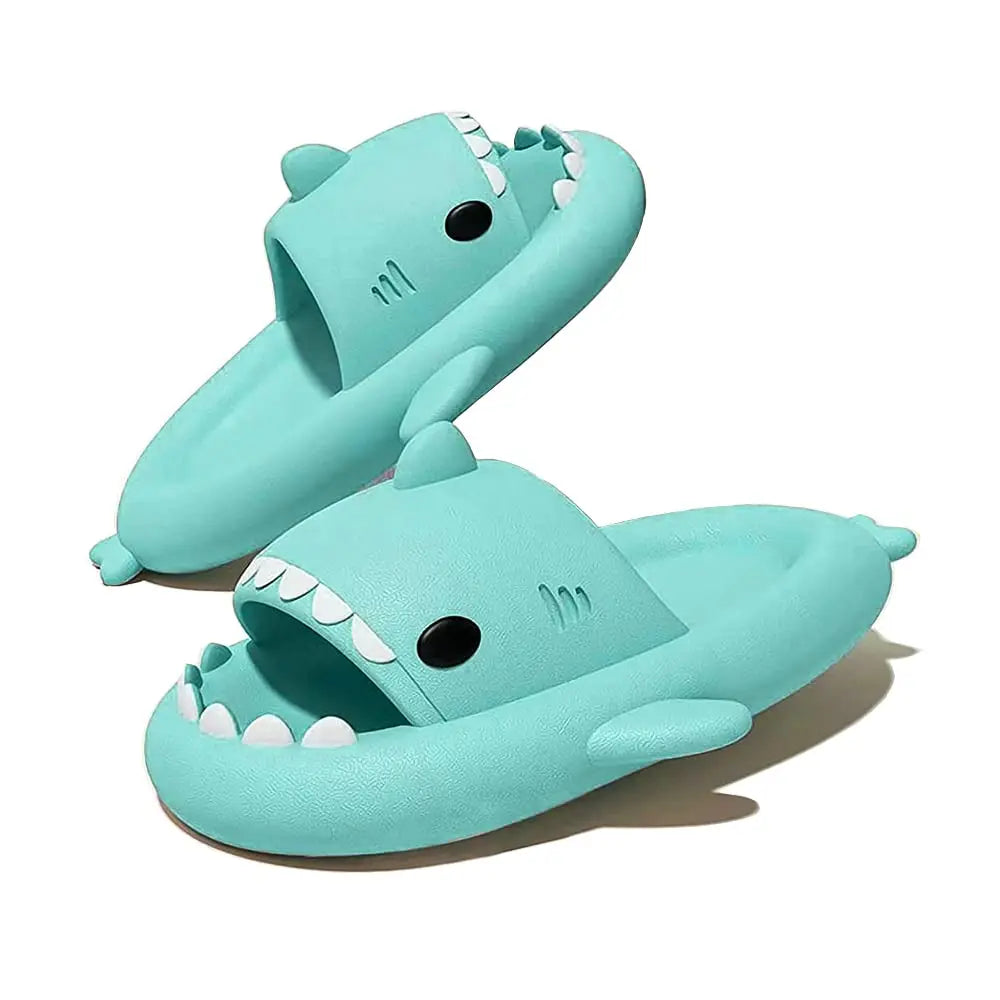 Slippers Shark